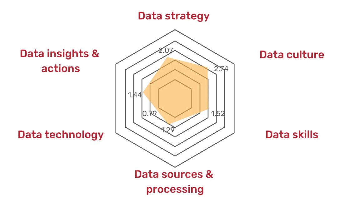 Radar chart displaying scores across 6 data dimensions: strategy, culture, skills, sources, technology, and insights.