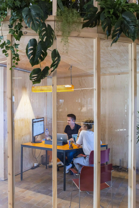 Two young people collaborate at computers in a modern, plant-filled office pod.
